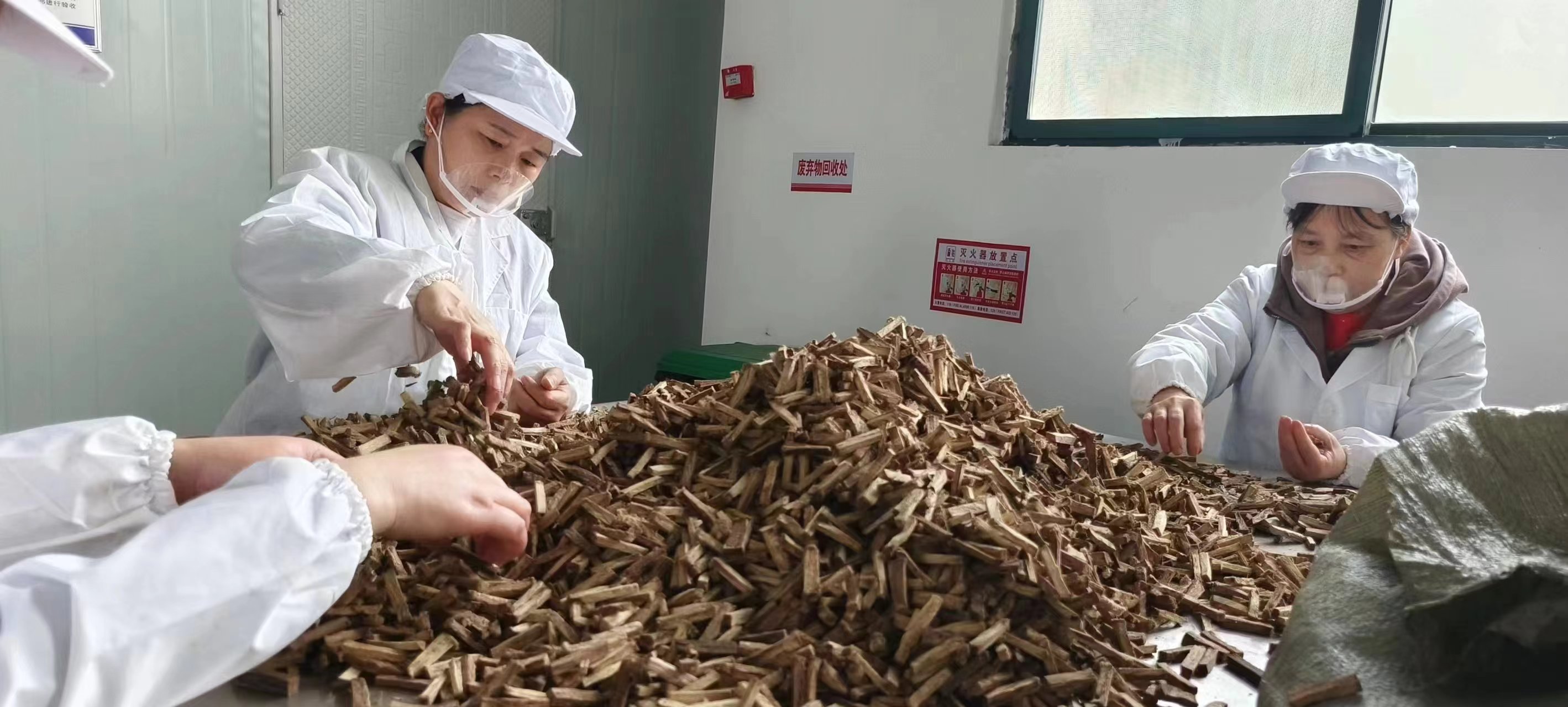 葛根条厂家,葛根项目,葛根咀嚼,口嚼葛根,葛根食品